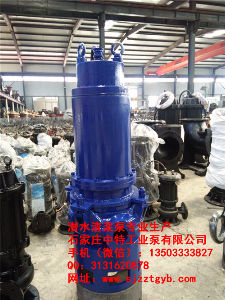 100ZJQ4寸防爆电机潜水渣浆泵 100ZJQ4寸防爆电机潜水渣浆泵